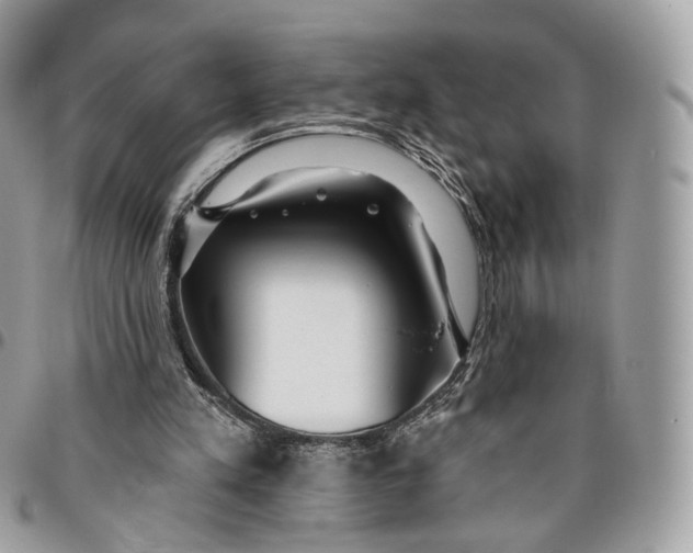 X0000096150197200802081419