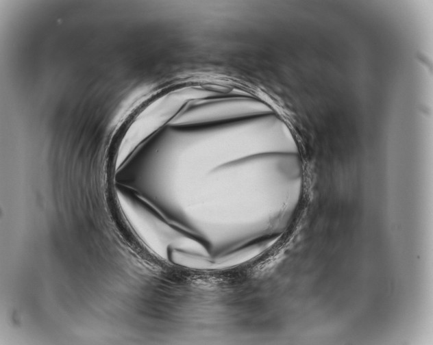 X0000096150199200802081419