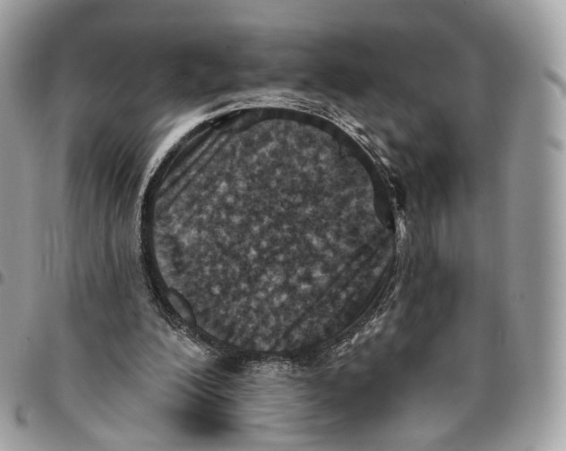 X0000096150200200802081419