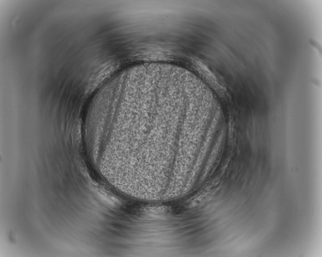 X0000096150202200802081419