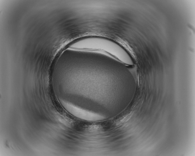 X0000096150204200802081419