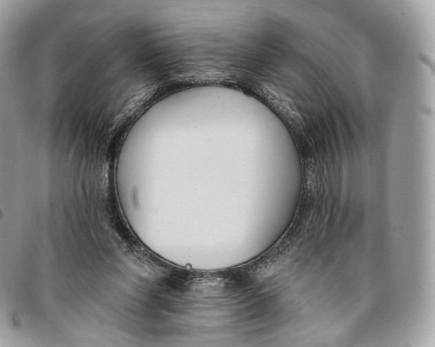 X0000096150206200802081419