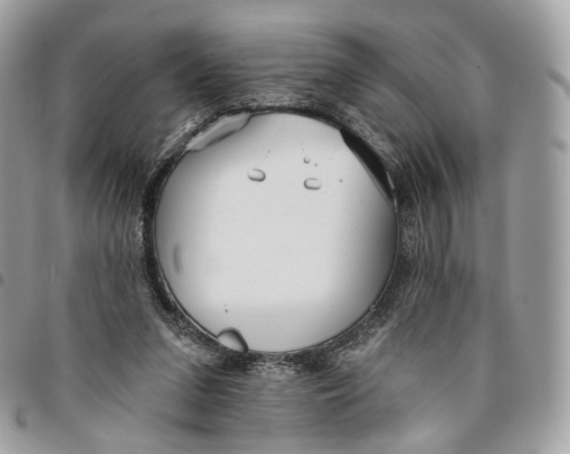 X0000096150207200802081419