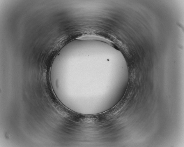 X0000096150209200802081419