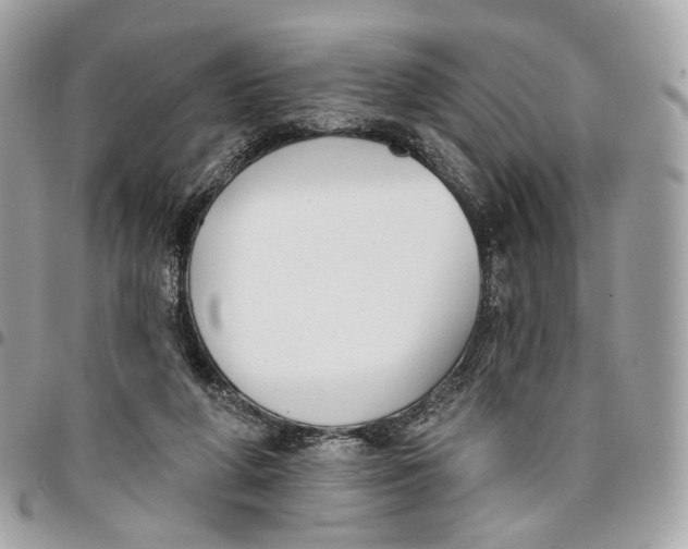 X0000096150210200802081419