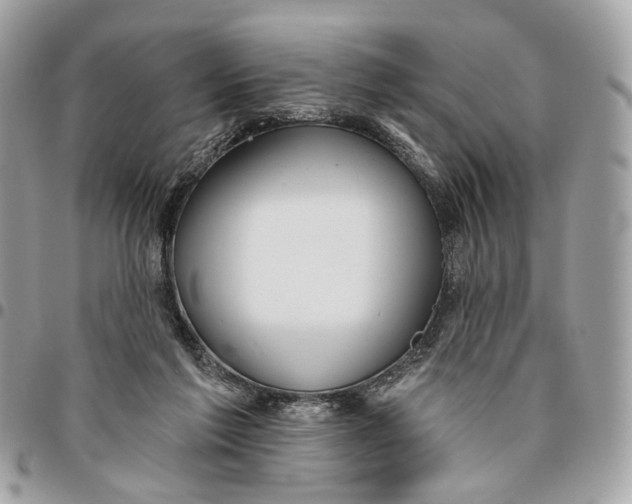 X0000096150213200802081419