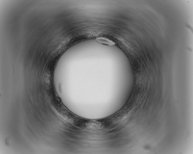 X0000096150215200802081419