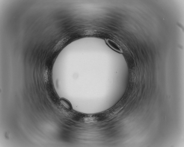 X0000096150216200802081419