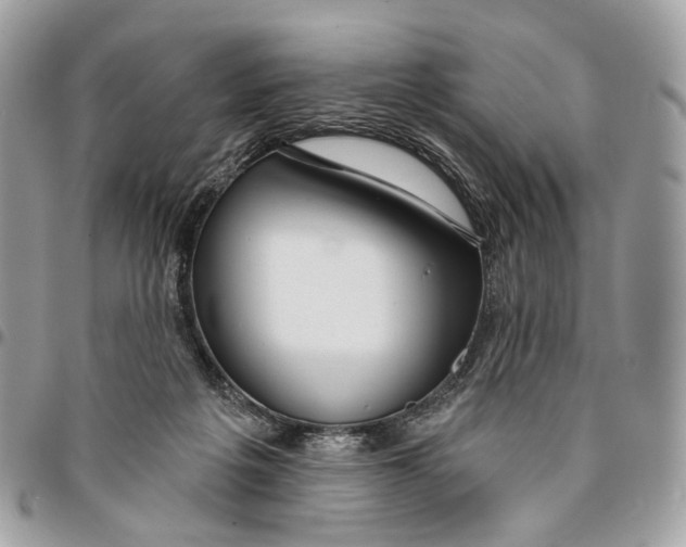 X0000096150217200802081419