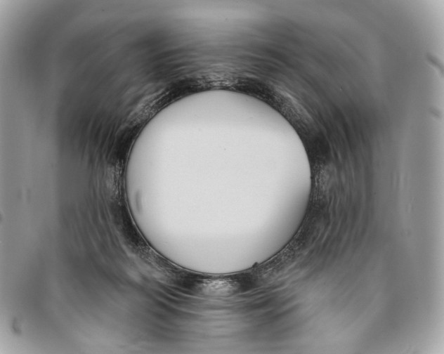 X0000096150218200802081419