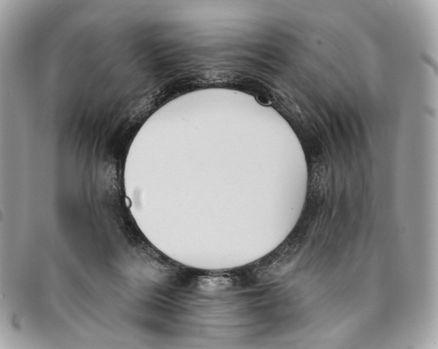 X0000096150220200802081419