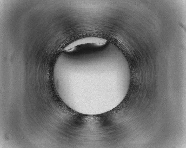 X0000096150221200802081419