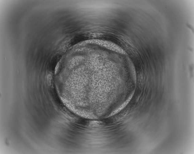 X0000096150222200802081419