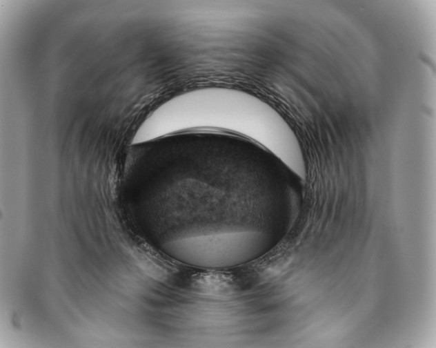 X0000096150223200802081419