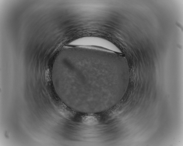 X0000096150224200802081419