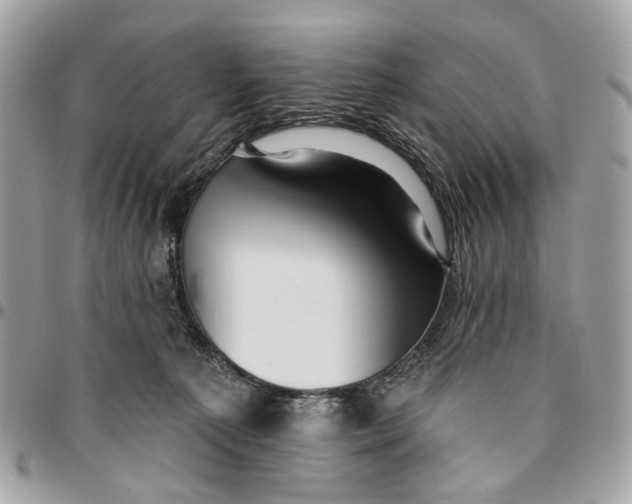 X0000096150225200802081419