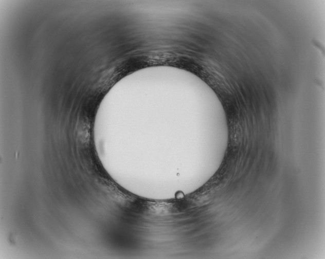 X0000096150226200802081419