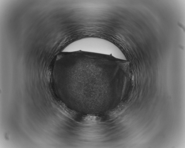 X0000096150227200802081419