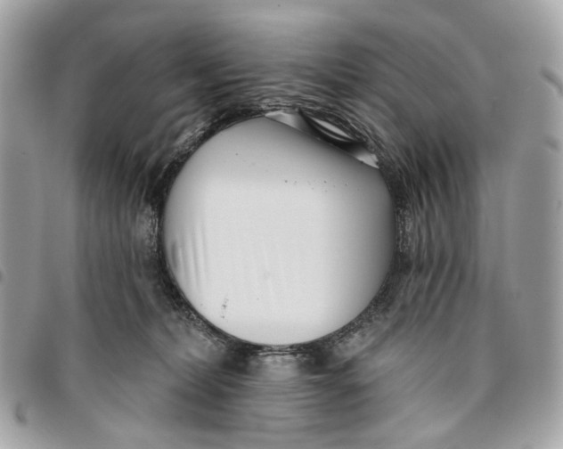 X0000096150228200802081419