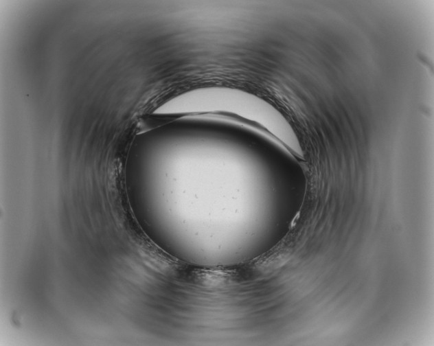 X0000096150229200802081419