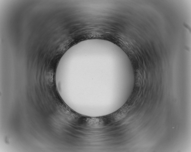 X0000096150230200802081419