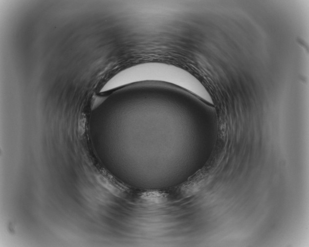 X0000096150231200802081419