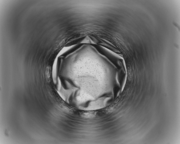 X0000096150232200802081419