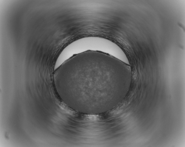 X0000096150233200802081419