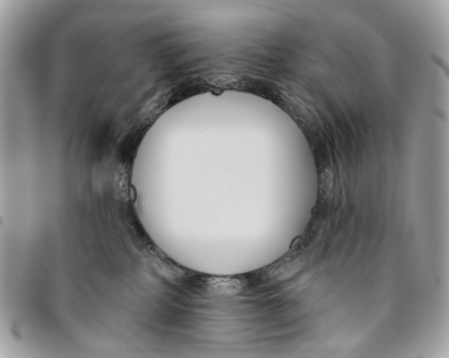 X0000096150234200802081419