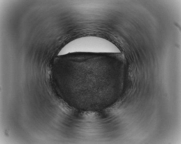 X0000096150235200802081419