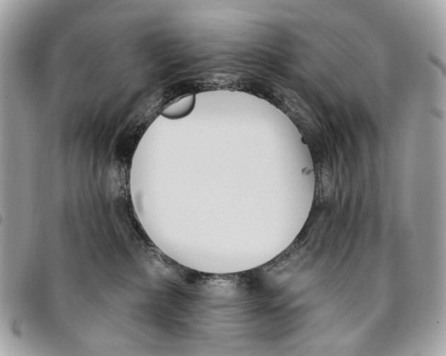 X0000096150236200802081419