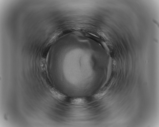 X0000096150237200802081419