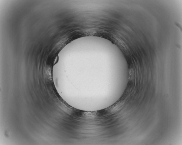 X0000096150238200802081419