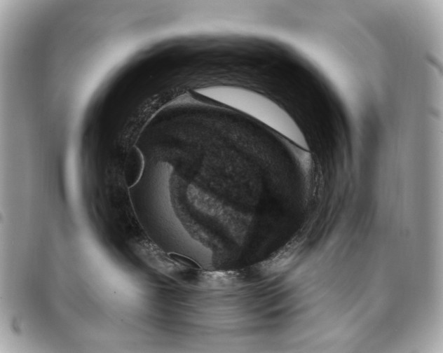 X0000096150239200802081419