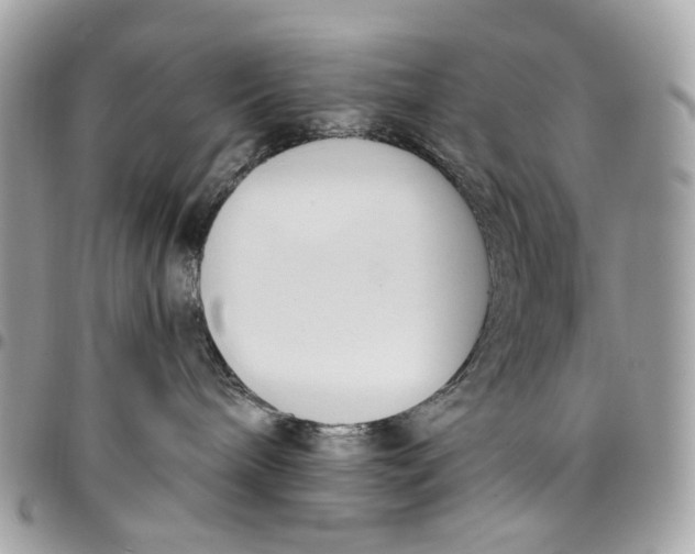 X0000096150240200802081419