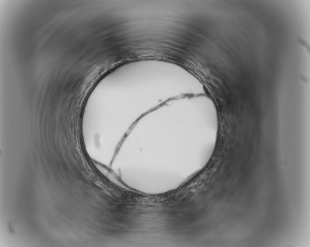 X0000096150241200802081418