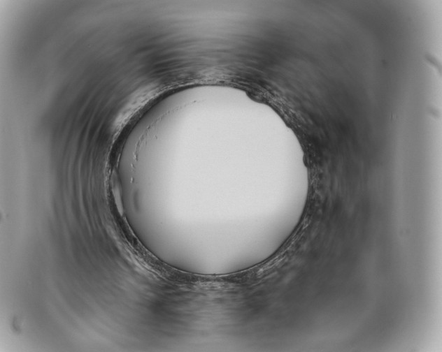 X0000096150242200802081418