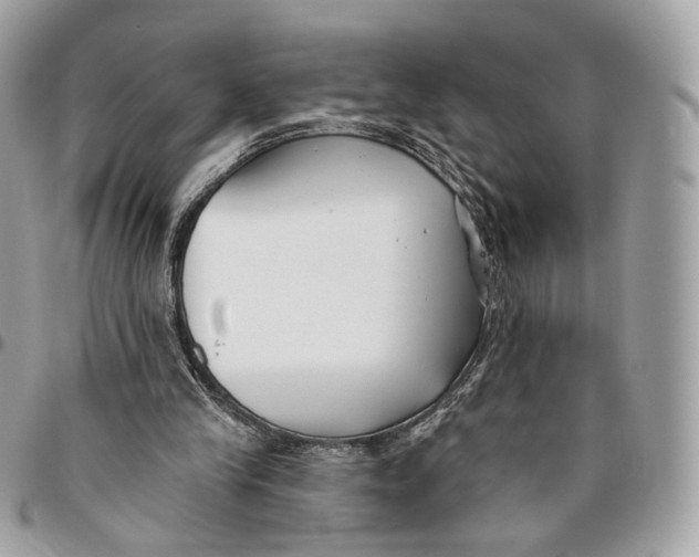 X0000096150245200802081418