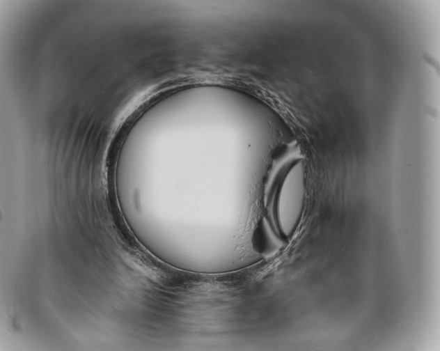 X0000096150246200802081418