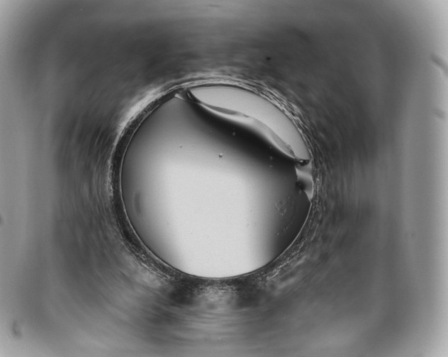 X0000096150248200802081418