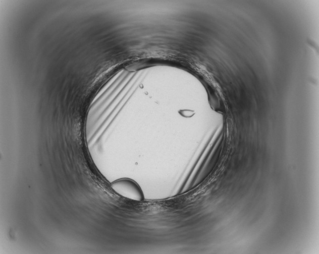 X0000096150249200802081418