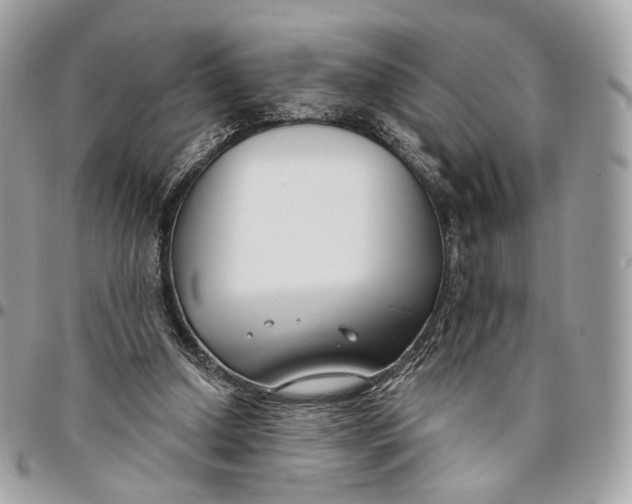 X0000096150250200802081418