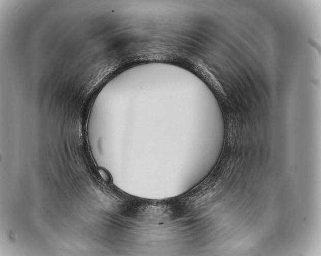 X0000096150251200802081418