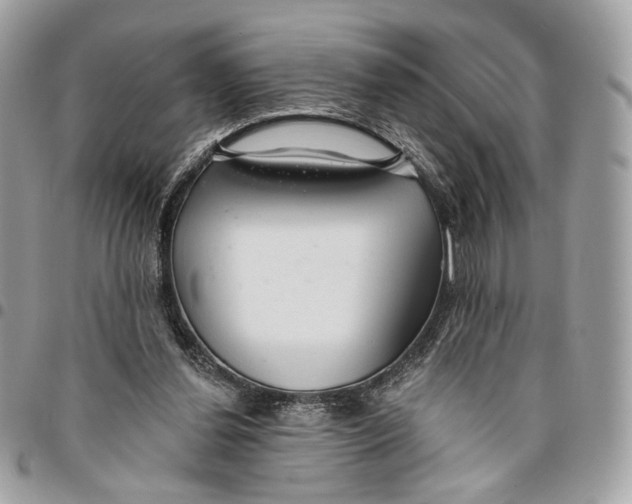 X0000096150252200802081418