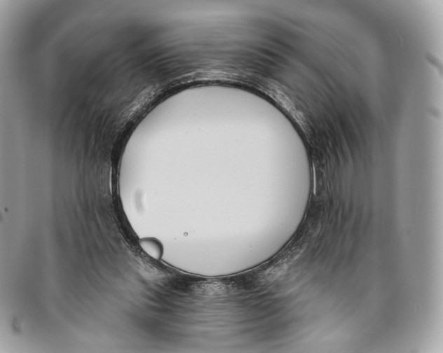 X0000096150253200802081418