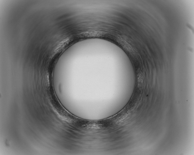 X0000096150254200802081418