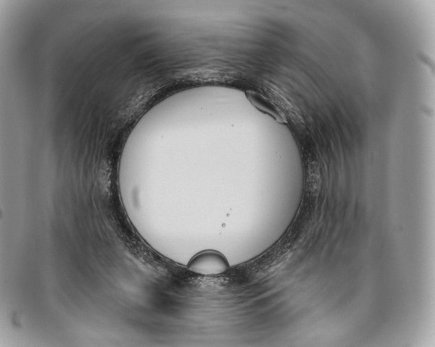 X0000096150255200802081418