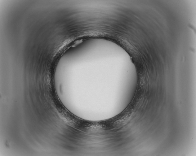 X0000096150256200802081418