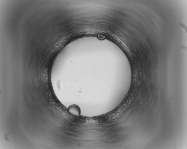 X0000096150257200802081418