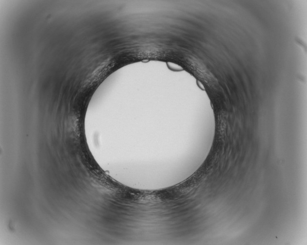 X0000096150258200802081418